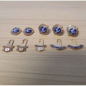 Lions Club Pins 925 Sterling Silver 10k GF Gold Filled Enamel Vice‎ President